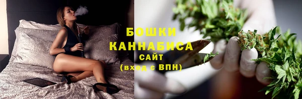 ПСИЛОЦИБИНОВЫЕ ГРИБЫ Зеленодольск