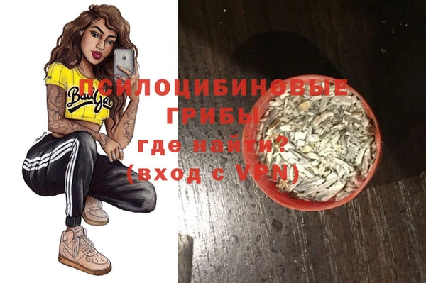 а пвп мука Инта