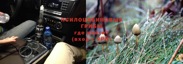 ПСИЛОЦИБИНОВЫЕ ГРИБЫ Зеленодольск