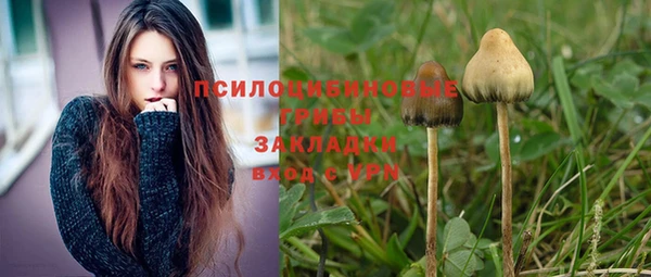 а пвп мука Инта