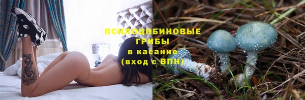 ECSTASY Инсар