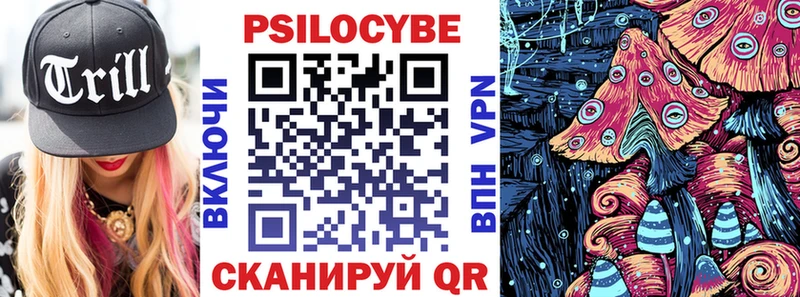 Купить где  Богучар  Галлюциногенные грибы Psilocybine cubensis 