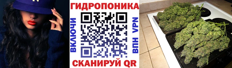 Марихуана MAZAR  Купить где  Богучар 